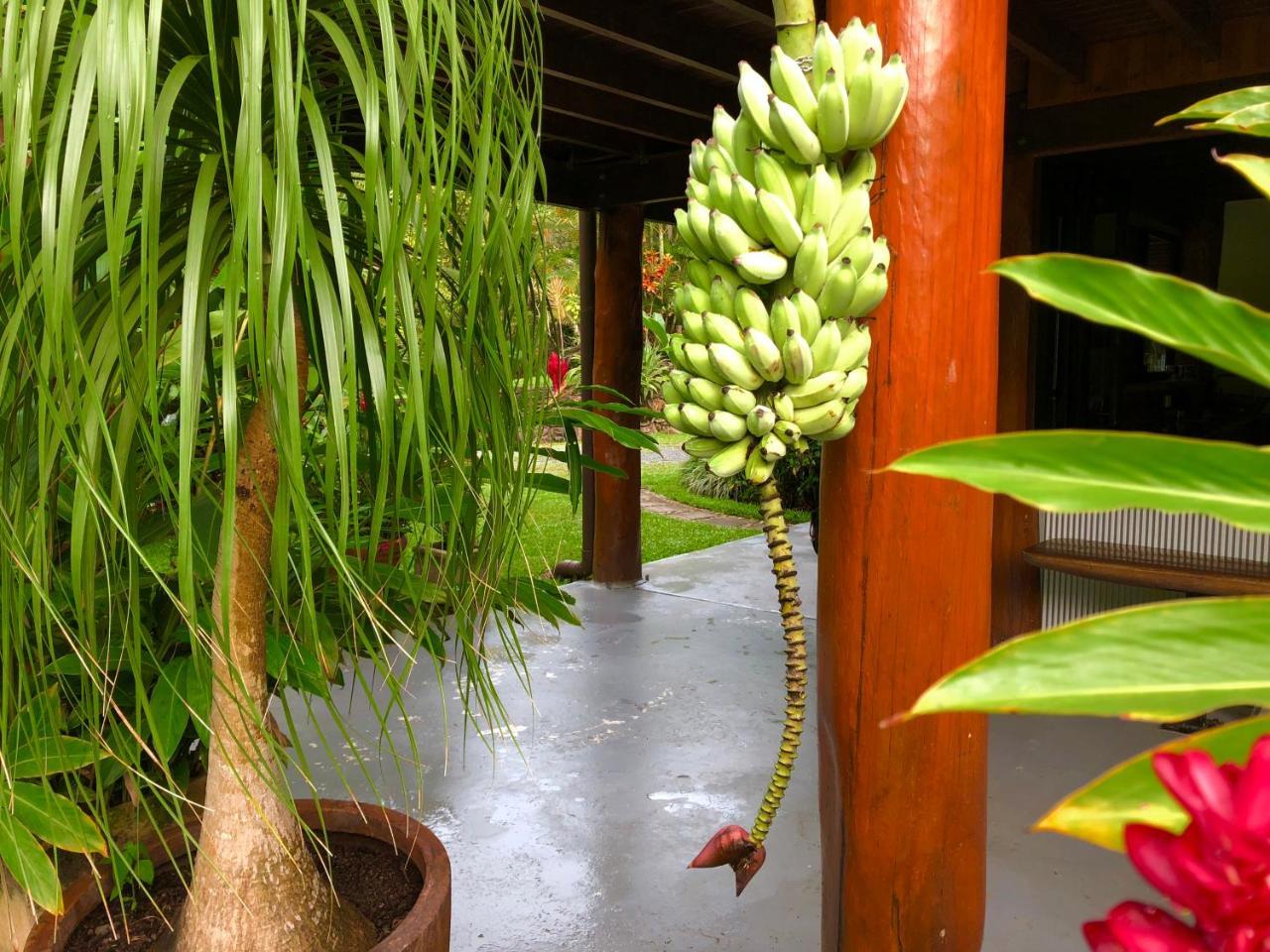 Daintree Manor B&B Bagian luar foto