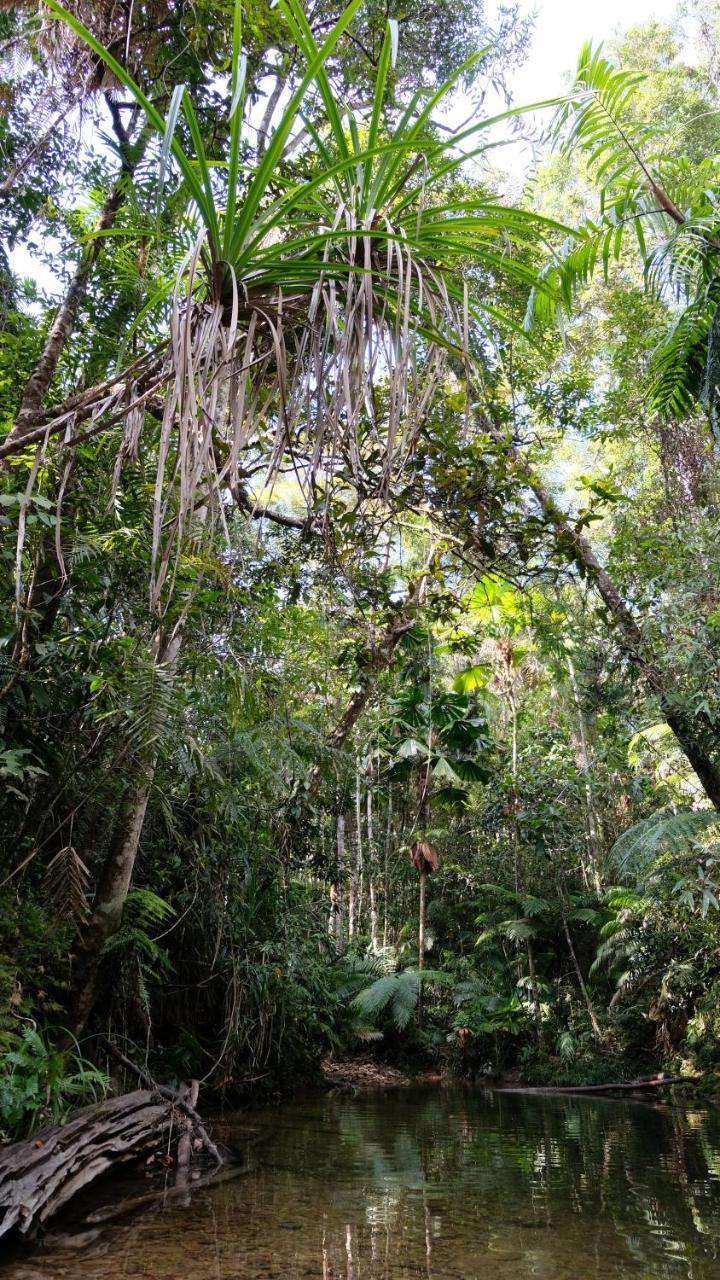 Daintree Manor B&B Bagian luar foto